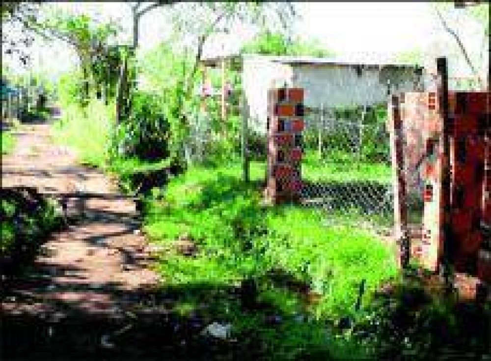 Exigen el arreglo de calles y fumigaci�n en Los Lapachitos