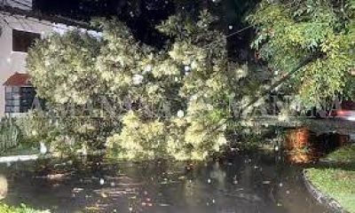 Intensa tarea de las cuadrillas de emergencia tras la tormenta