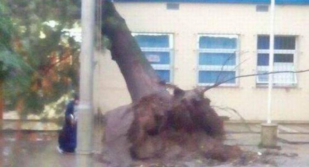 Violento temporal registrado en la ciudad caus� graves destrozos y corte de energ�a