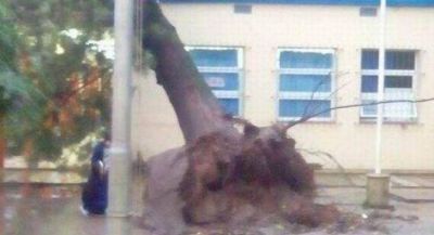 Violento temporal registrado en la ciudad caus� graves destrozos y corte de energ�a