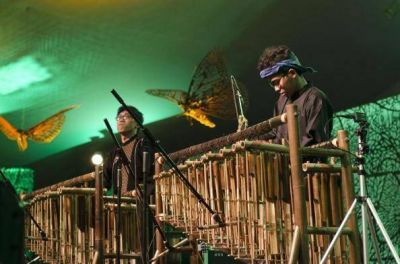 Iguaz� en Concierto, donde la cultura y la selva se funden en acordes