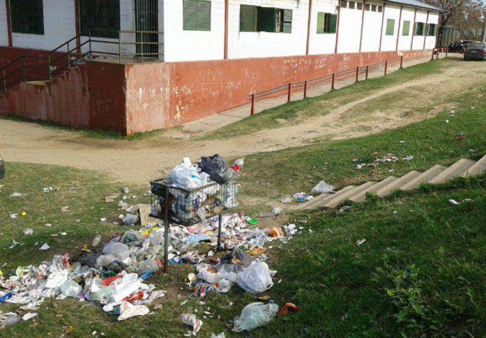 Alto Verde: hasta el martes sin clases por la presencia de roedores