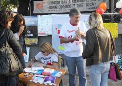 M�s del 80 por ciento de los argentinos a favor de la donaci�n de �rganos