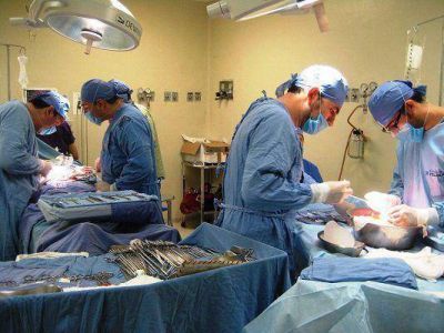 En la �ltima d�cada, 13 donaciones de �rganos salvaron la vida de 58 personas
