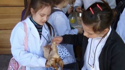 Aprender a separar basura en la escuela: recuperan 200 toneladas al a�o