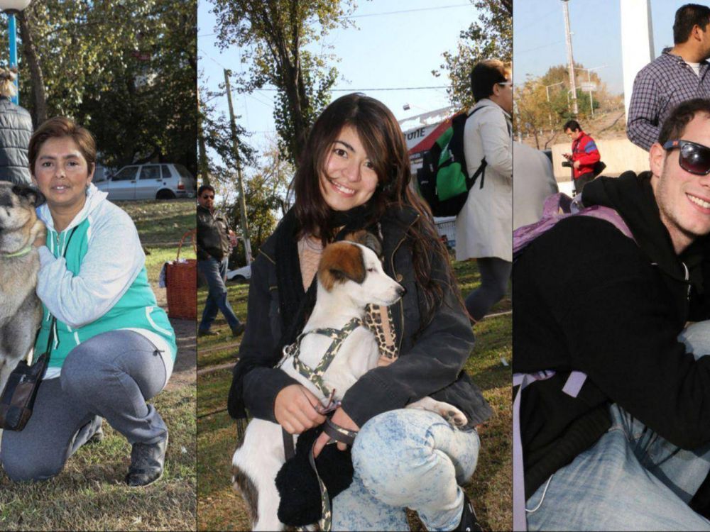 Guaymall�n quiere saber cu�ntos animales hay