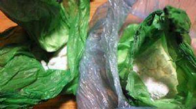 Dos personas aprehendidas por tenencia de coca�na
