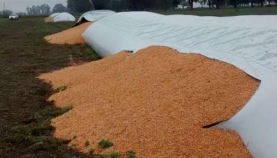 Ataques a silos bolsa tambi�n hacen ruido en la campa�a