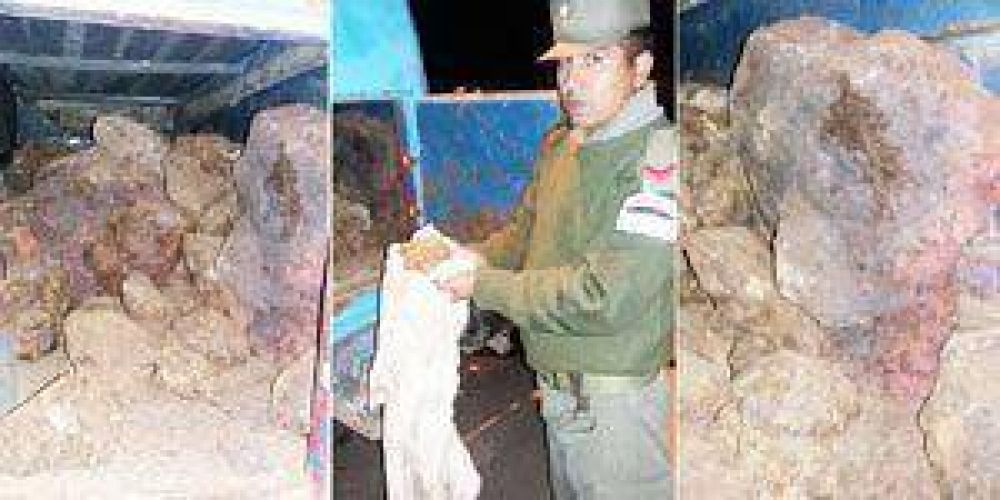 Dos formose�os detenidos por robo de meteoritos