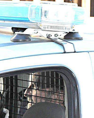 Juicio a la CNU: autorizaron a Demarchi a ejercer su autodefensa