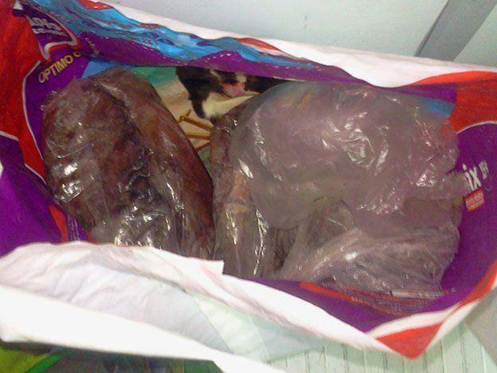 La Municipalidad de Mendoza decomis� 40 kilos de 