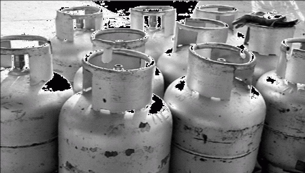 Se restableci� la entrega de bonos de gas