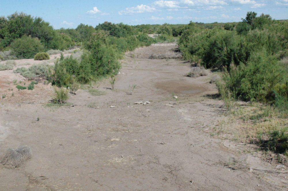 �No veo que tengamos que pedir disculpas a La Pampa