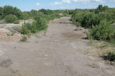 �No veo que tengamos que pedir disculpas a La Pampa