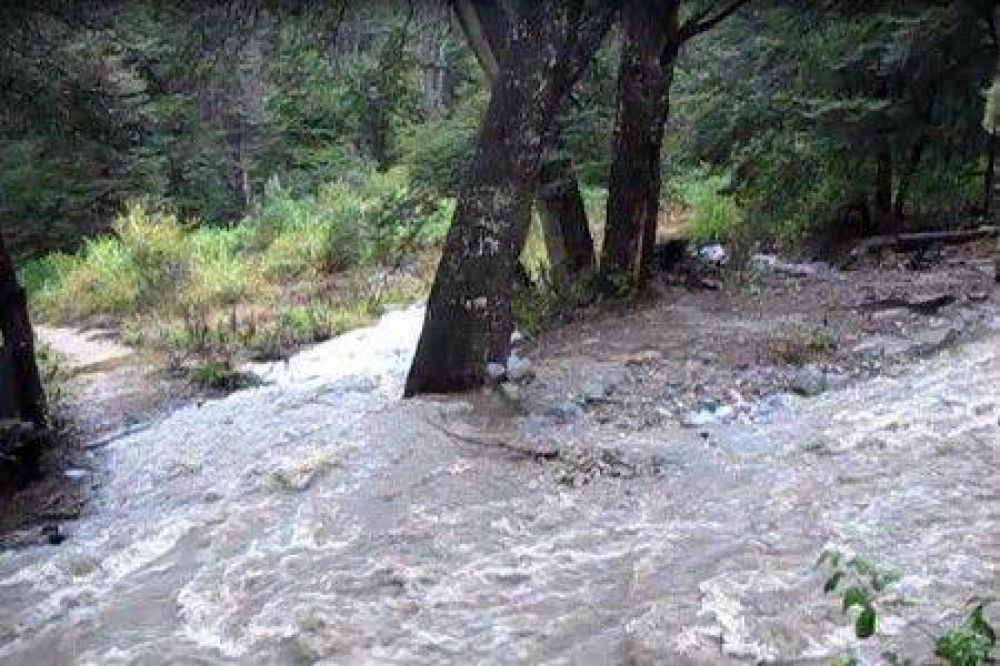 La localidad sin luz por ca�da de �rboles a ra�z del temporal
