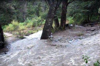 La localidad sin luz por ca�da de �rboles a ra�z del temporal