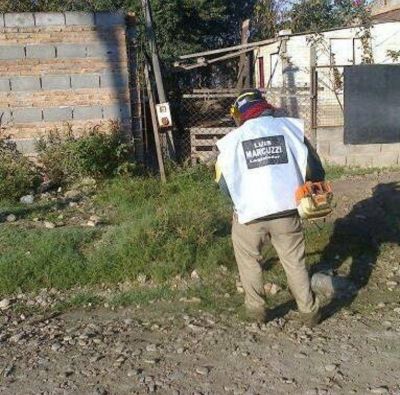 Desmalezamiento y poda de arboles en zona sur
