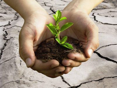 Hoy se celebra el D�a Mundial del Medio Ambiente