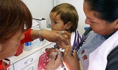 Campa�a antigripal: se trabaja en la aplicaci�n de las primeras 70.000 dosis
