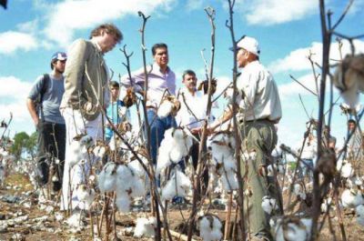 Capitanich: �El algod�n constituye una identidad cultural de nuestra provincia�