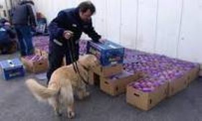La AFIP inform� que incaut� m�s de 100 kilos de coca�na en cargamento de manzanas