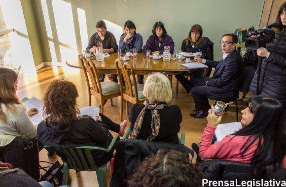 Malestar de legisladores por el faltazo de la Ministro de Salud Adriana Chapper�n