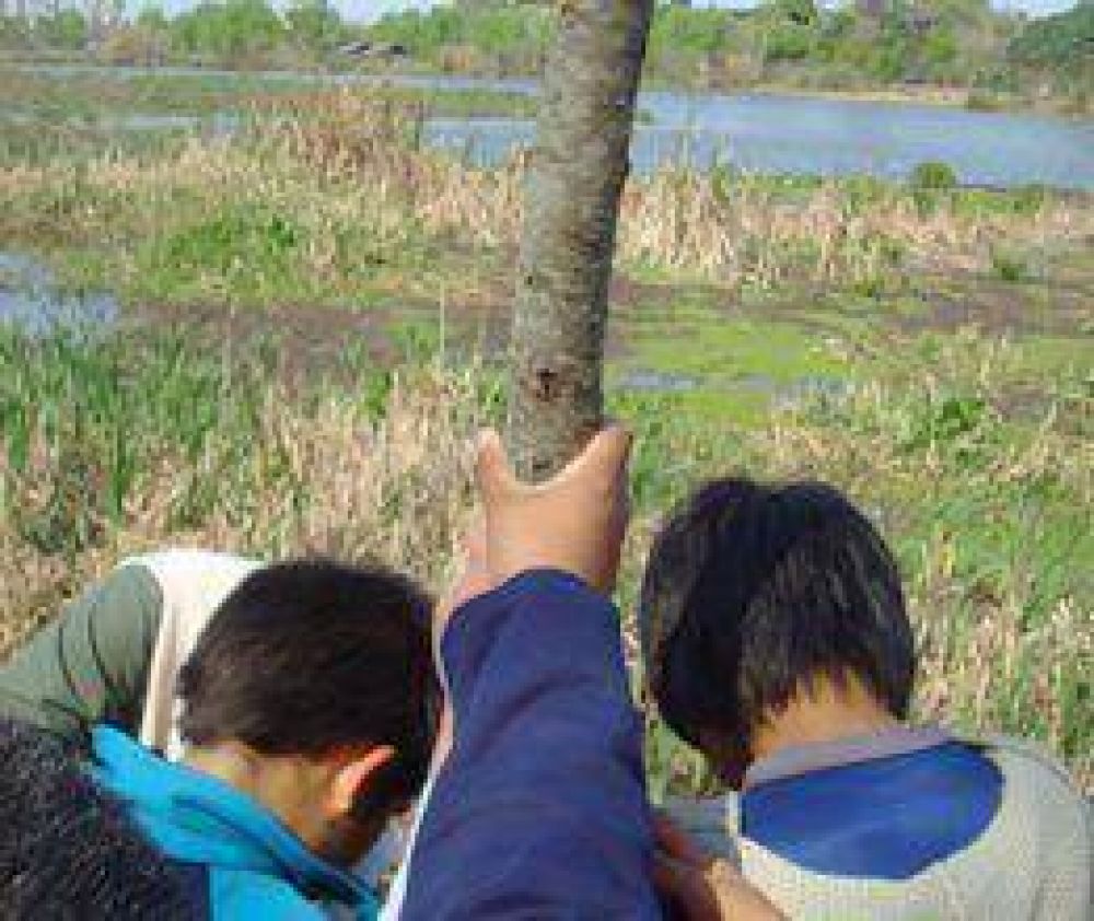 Actividades en el D�a del Medio Ambiente