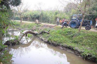 Tareas de saneamiento y adecuaci�n de canales en Los Talas