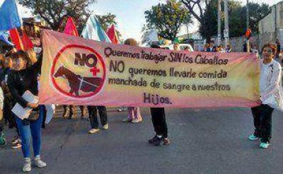 Marcha contra los carreros en el centro salte�o