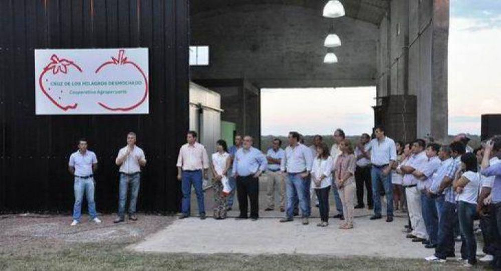 Estrenaron planta de fr�o y empacadora de frutillas