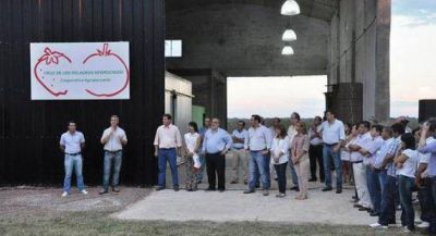 Estrenaron planta de fr�o y empacadora de frutillas