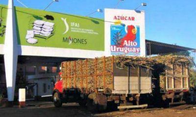 Zafra ca�era 2015: El jueves se discutir�n los precios de la ca�a de az�car