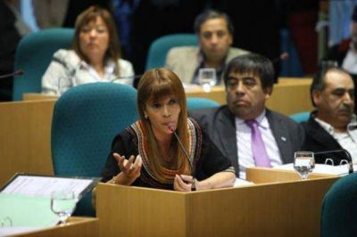 Diputada advirti� que Cant�n �debe cumplir su mandato� y hacerse cargo de la situaci�n