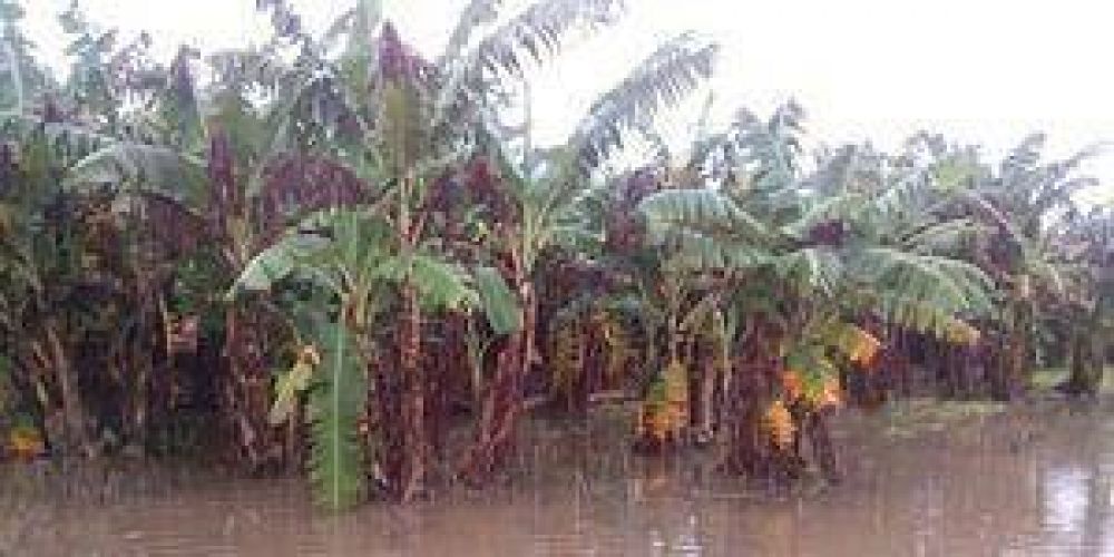 Productores protestan y amenazan con cortar la ruta