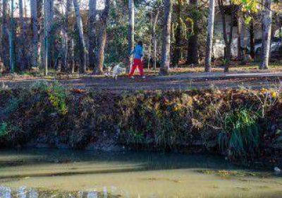 Neuqu�n tiene su propio Riachuelo: el arroyo Dur�n 
