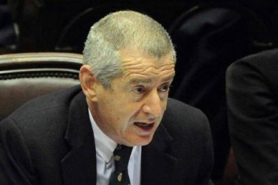 Landau: �El FpV ser� el �nico que tendr� representaci�n en los 24 distritos�