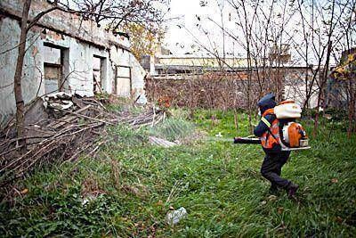 Intervenci�n municipal en una construcci�n abandonada