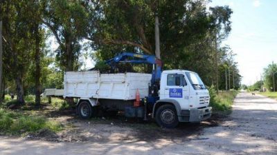 Baragiola: Propone iniciativa para optimizar tr�mites de la Poda Selectiva