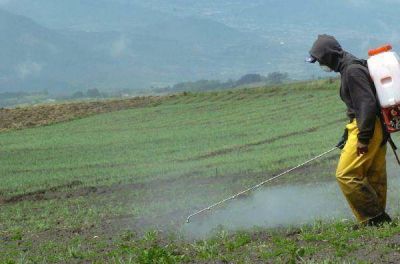 Marcha atr�s en la prohibici�n del uso de agroqu�micos