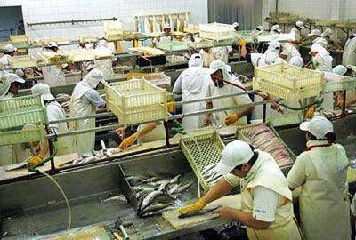 Empresarios de la pesca afirman que �la situaci�n es cr�tica y con el paso del tiempo se profundizar�