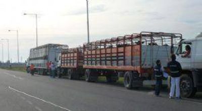Nuevo control a transportes de agroalimentos y ganado en pie