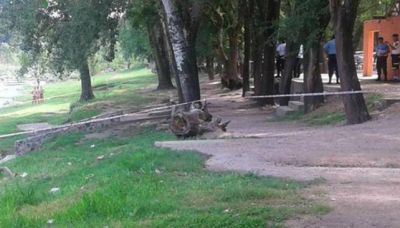 Mat� dos veces en 24 horas, pero es inimputable