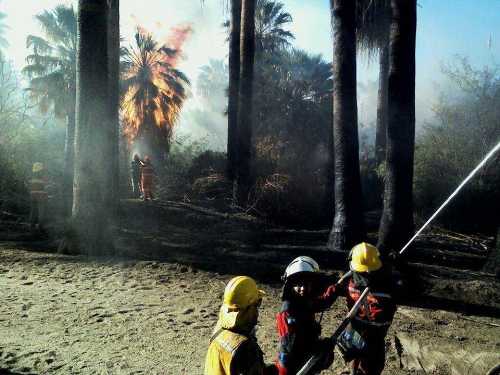 Preocupaci�n ante el incremento de incendios forestales en Capital