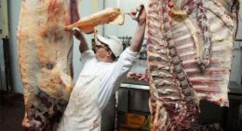 Auguran un fuerte aumento de las exportaciones de carne, en especial porcina