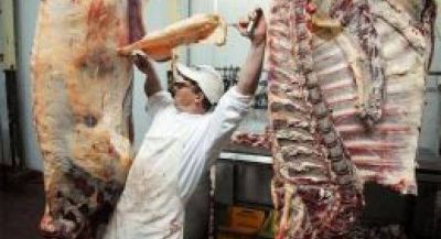 Auguran un fuerte aumento de las exportaciones de carne, en especial porcina