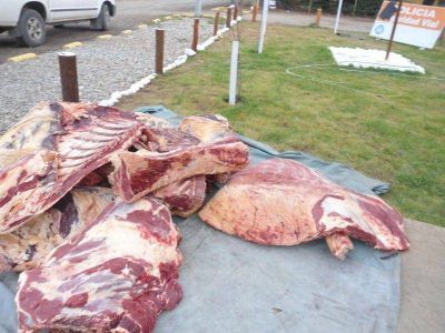 Decomisan m�s de 200 kilos de carne faenada y recuperan un auto robado