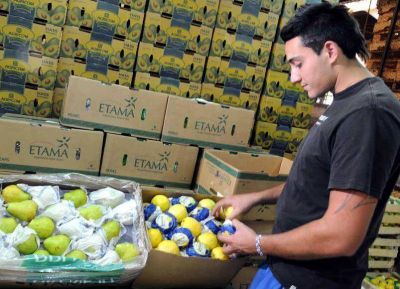 Tras 3 meses, Brasil admite peras y manzanas de Mendoza otra vez