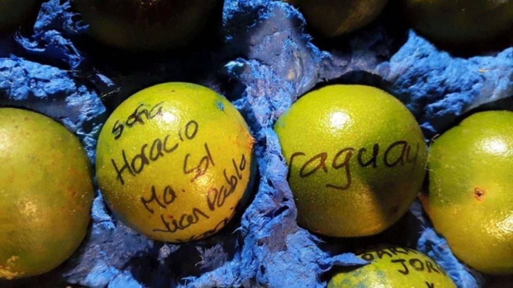 Paragüay: furor por escribir cocos con dedicatorias al Papa