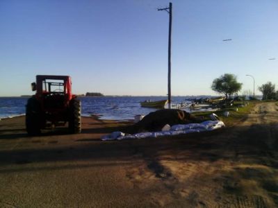 Sigue ingresando agua en la laguna pero se espera que se estabilice en pocos d�as