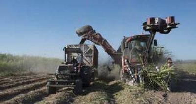 Trabajadores azucareros ratificaron el paro